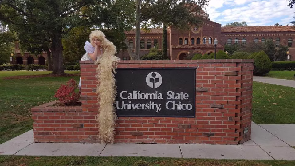 Into the Woods – Rapunzel, 2016